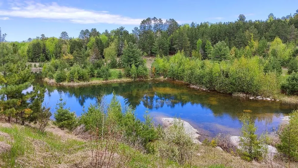 80064 Osprey Pass Tower, MN 55790