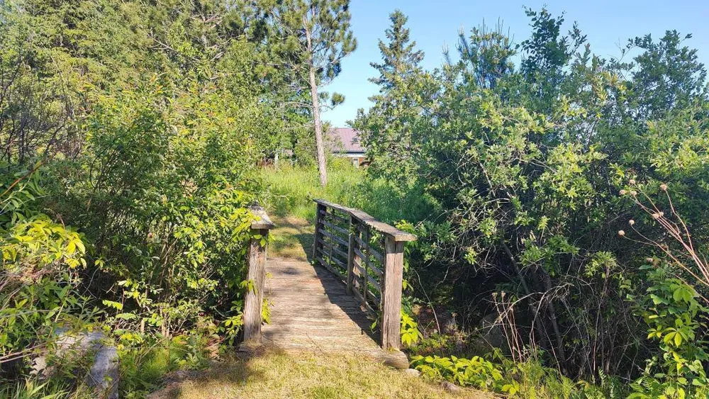80064 Osprey Pass Tower, MN 55790