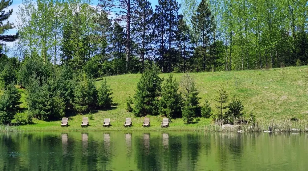 80064 Osprey Pass Tower, MN 55790