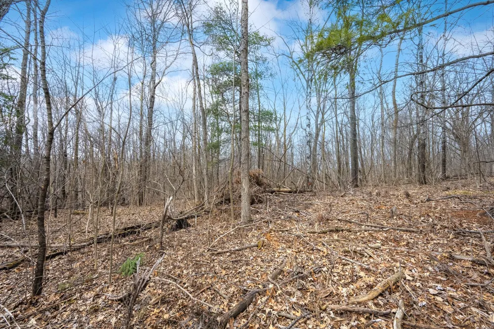 TBD Hwy 46 Balsam Lake, WI 54810