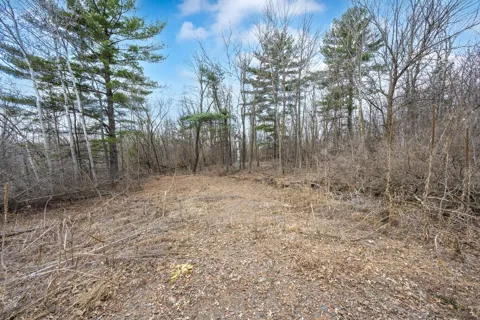 TBD Hwy 46