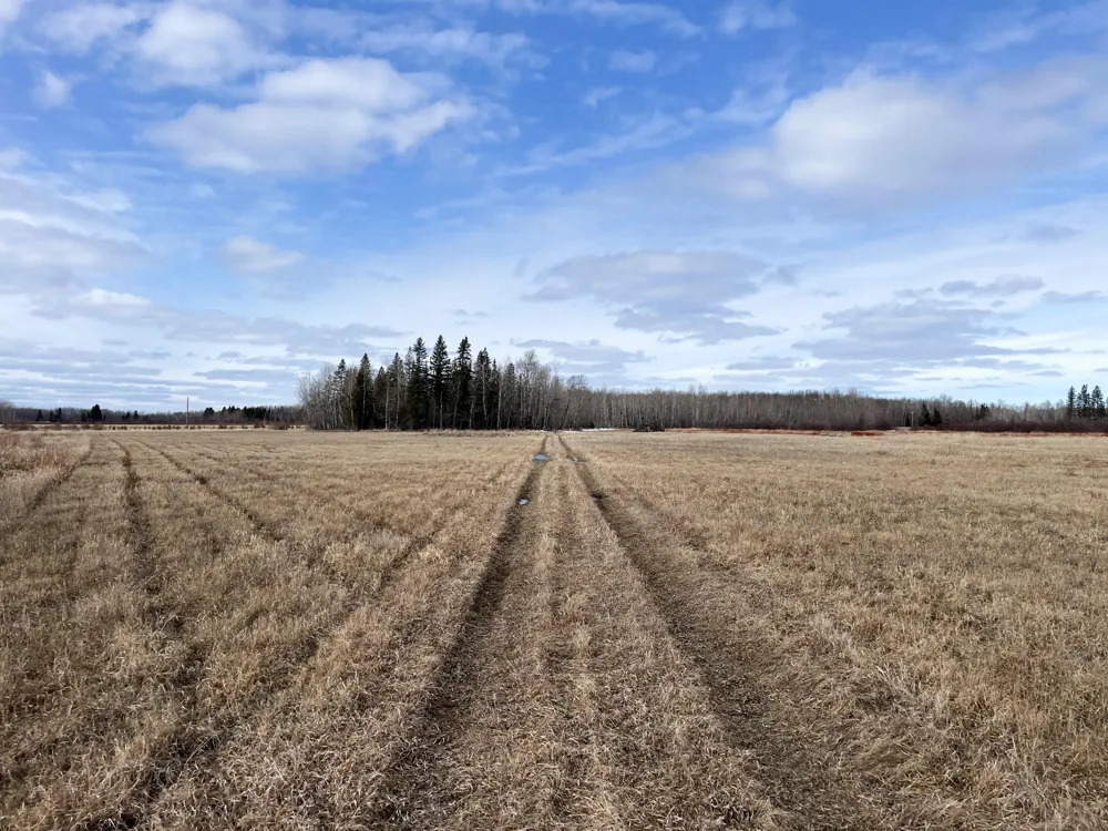 3228 County Road 1 SW Baudette, MN 56623