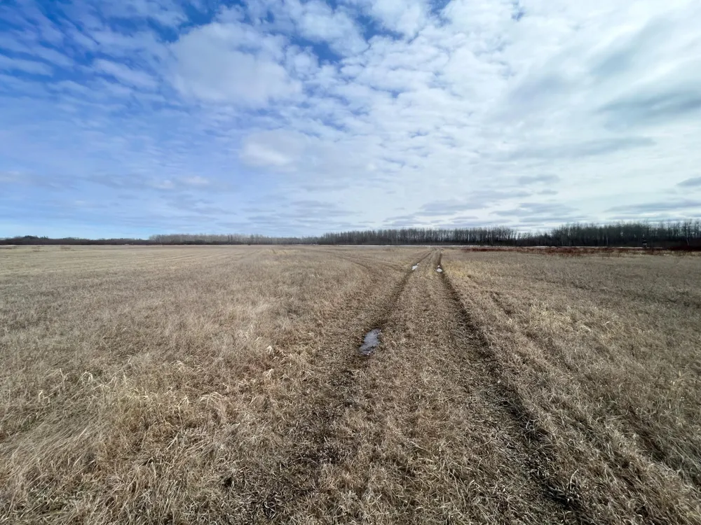 3228 County Road 1 SW Baudette, MN 56623