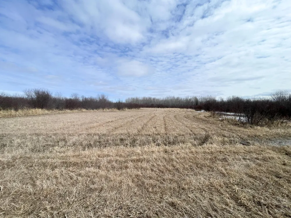 3228 County Road 1 SW Baudette, MN 56623