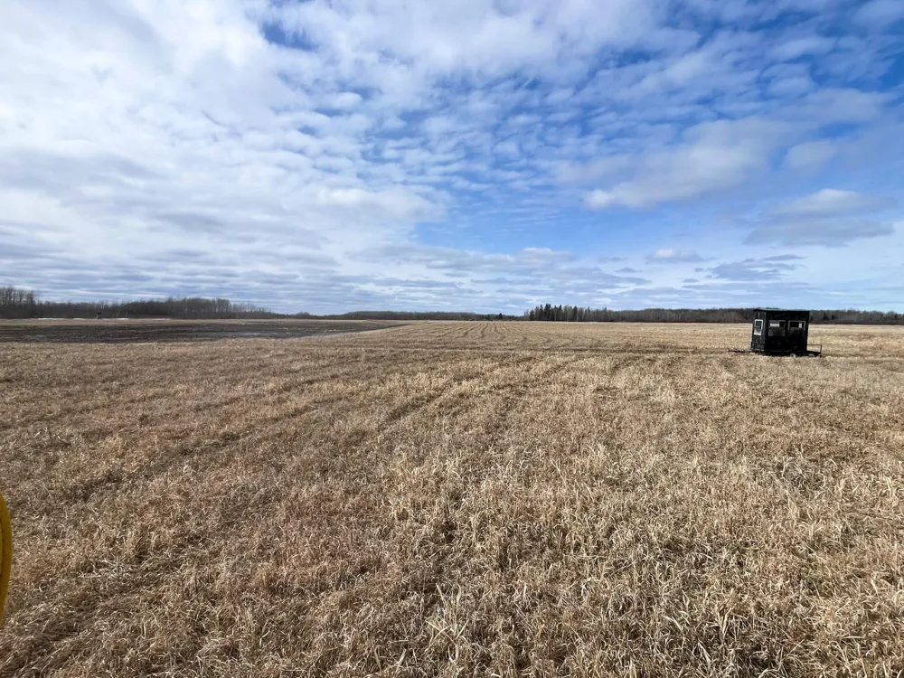 3228 County Road 1 SW Baudette, MN 56623