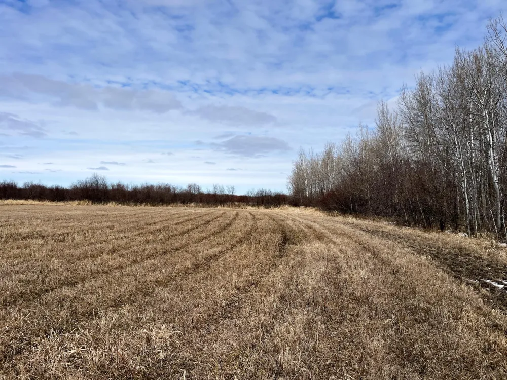 3228 County Road 1 SW Baudette, MN 56623