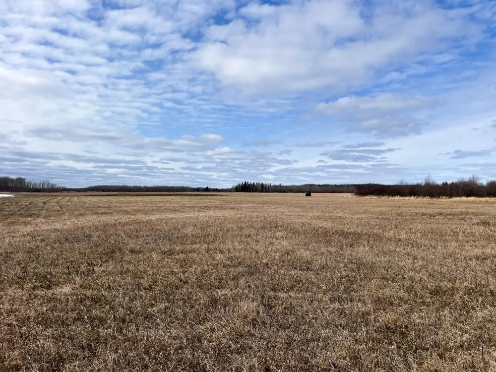 3228 County Road 1 SW Baudette, MN 56623