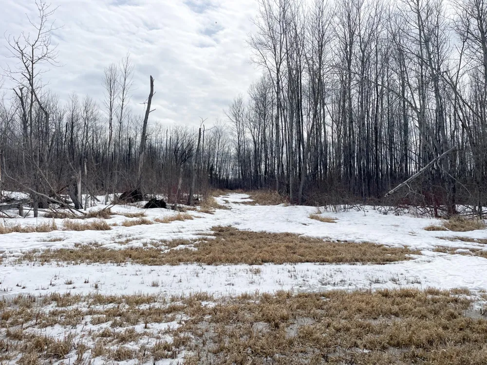 3228 County Road 1 SW Baudette, MN 56623