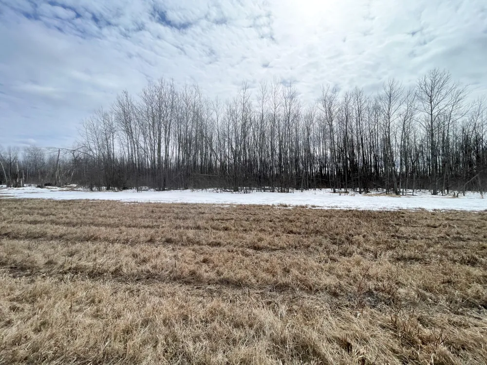 3228 County Road 1 SW Baudette, MN 56623