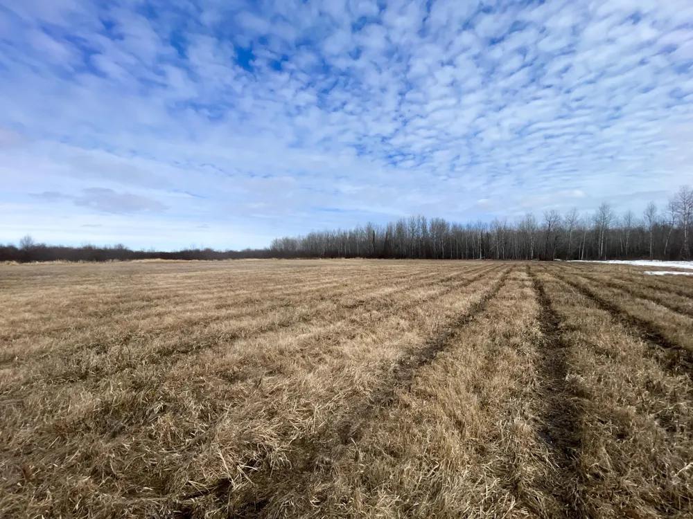 3228 County Road 1 SW Baudette, MN 56623