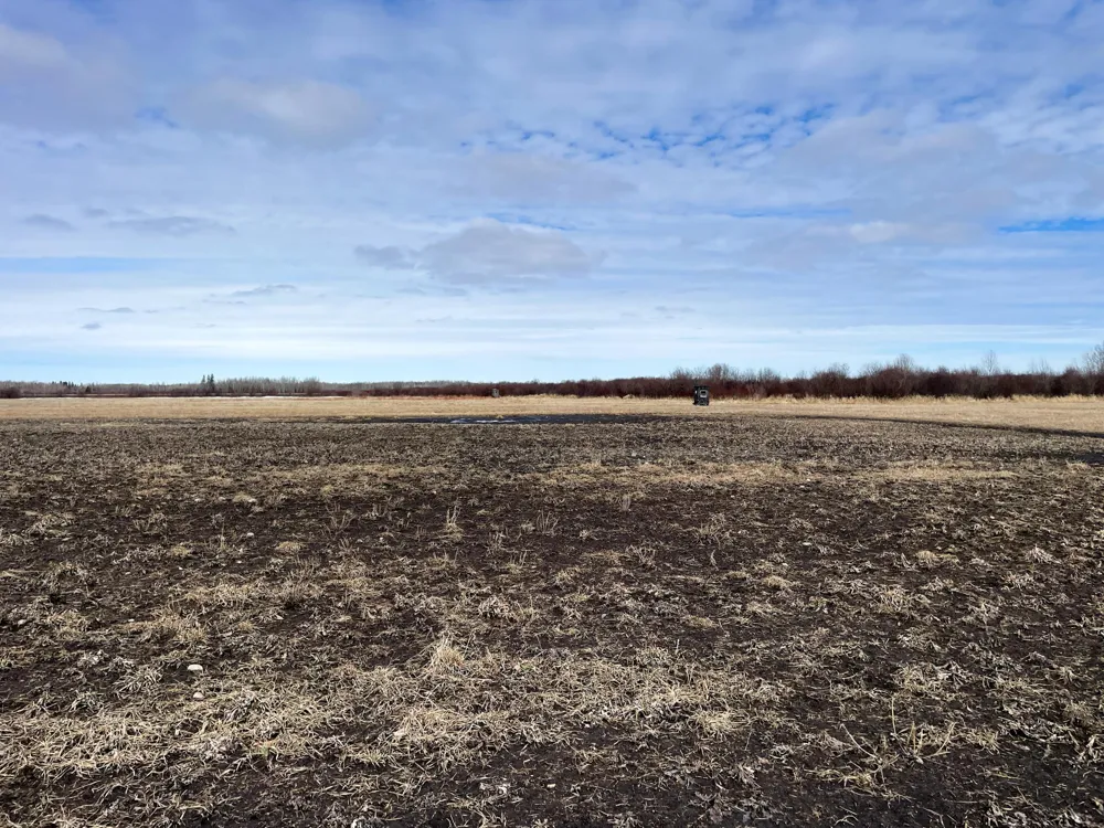3228 County Road 1 SW Baudette, MN 56623