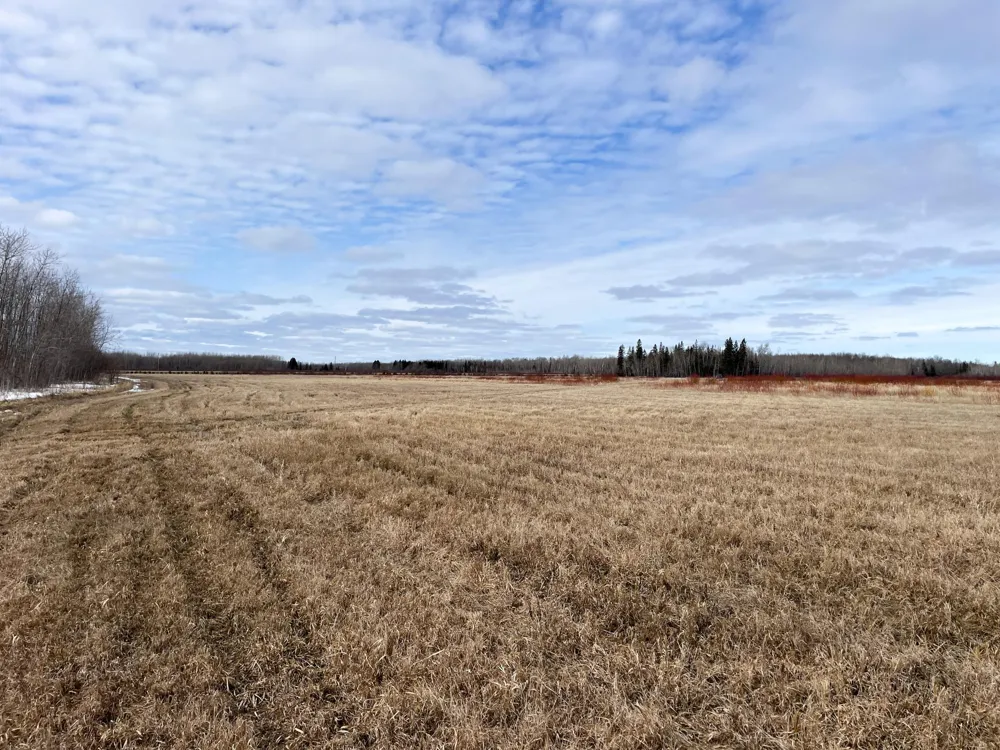 3228 County Road 1 SW Baudette, MN 56623