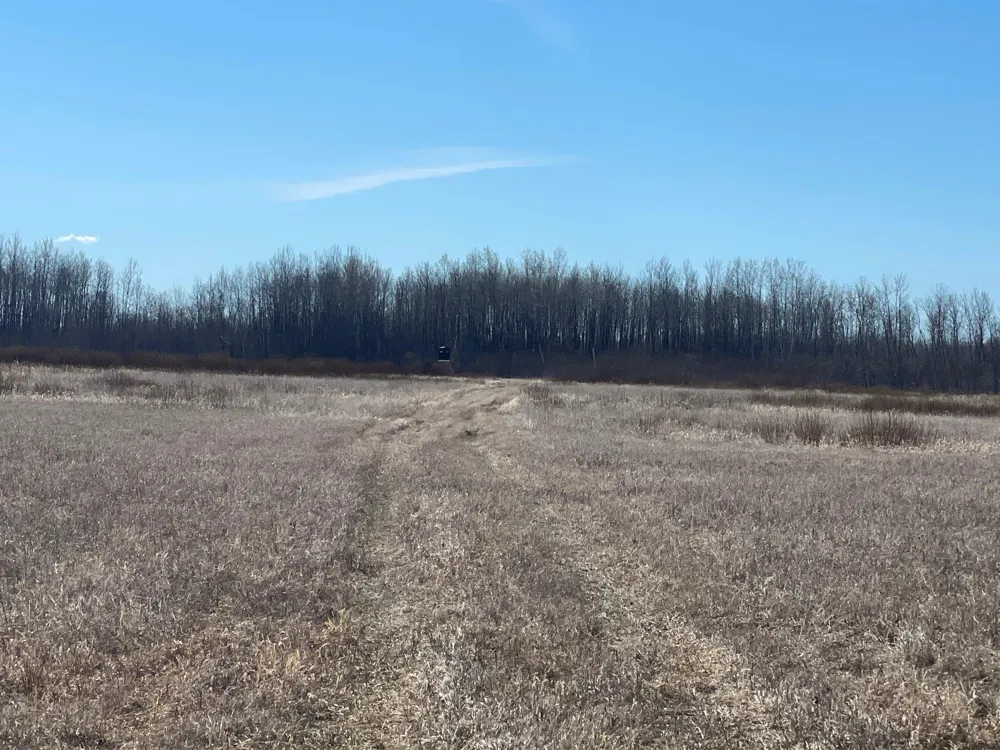 3228 County Road 1 SW Baudette, MN 56623