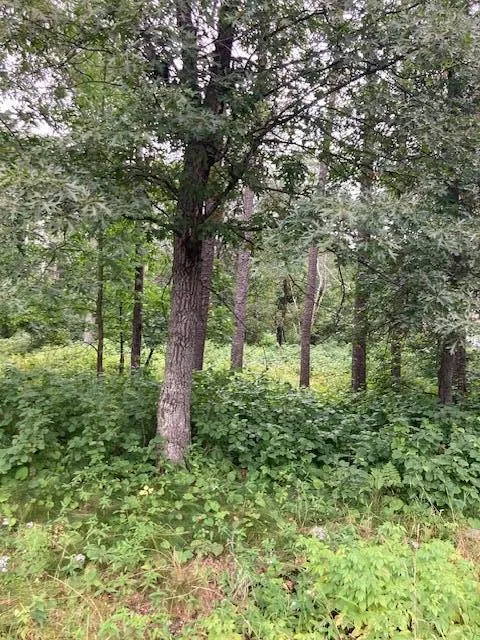 Lot 39 & 40 Owl Circle