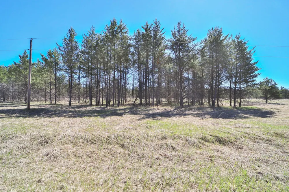 27125 132nd Street Staples, MN 56479