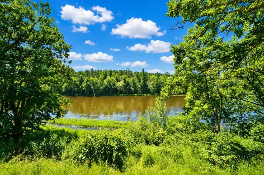 27125 132nd Street Staples, MN 56479