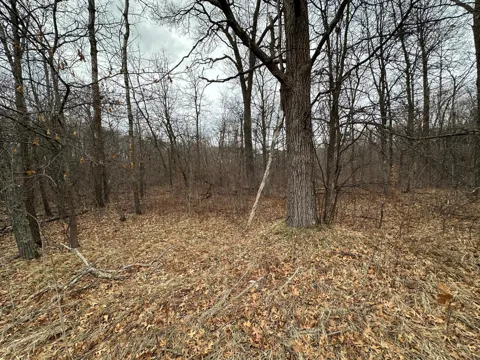 Lot 25 County Rd 11