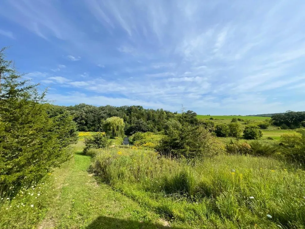 TBD-C County 8 Spring Grove, MN 55954
