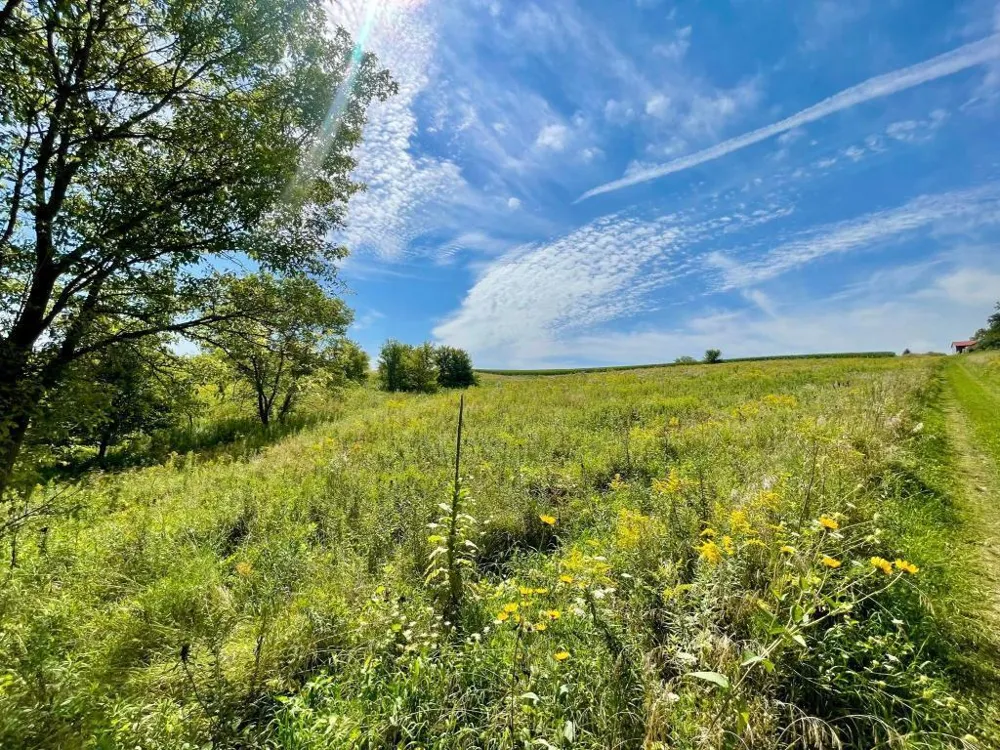 TBD-C County 8 Spring Grove, MN 55954