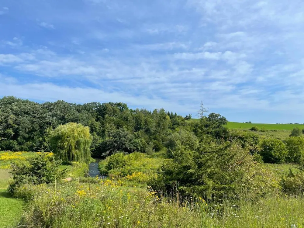 TBD-C County 8 Spring Grove, MN 55954