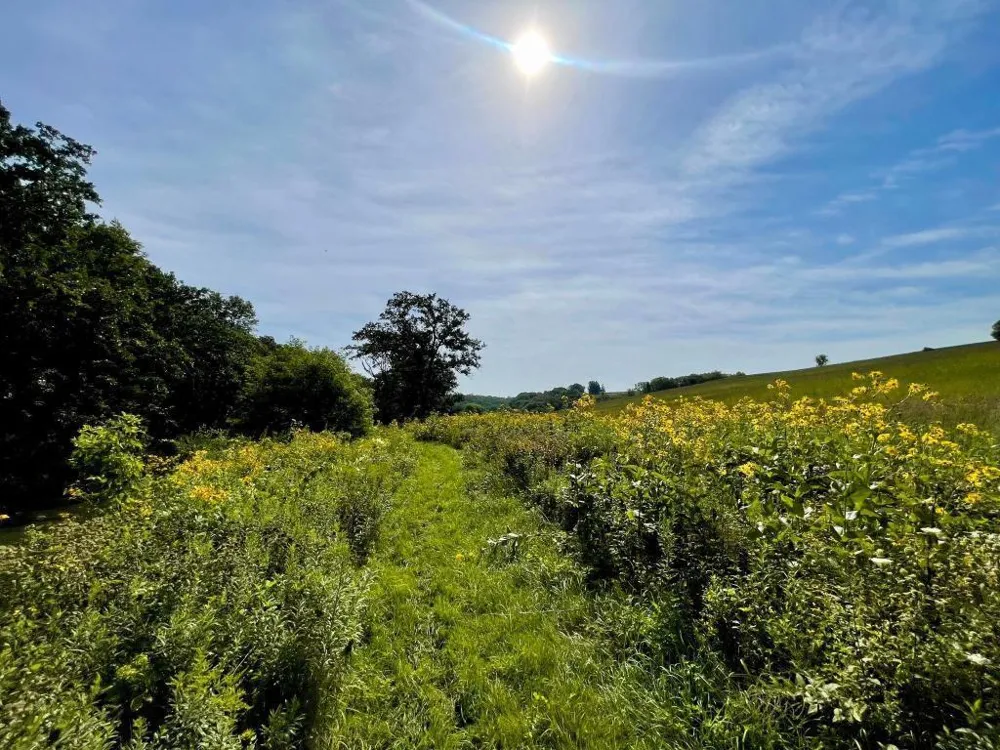 TBD-C County 8 Spring Grove, MN 55954