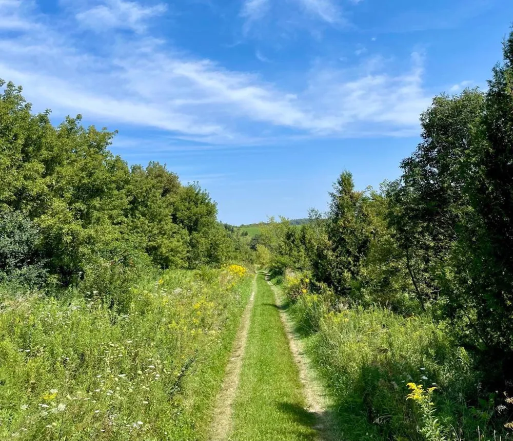 TBD-C County 8 Spring Grove, MN 55954