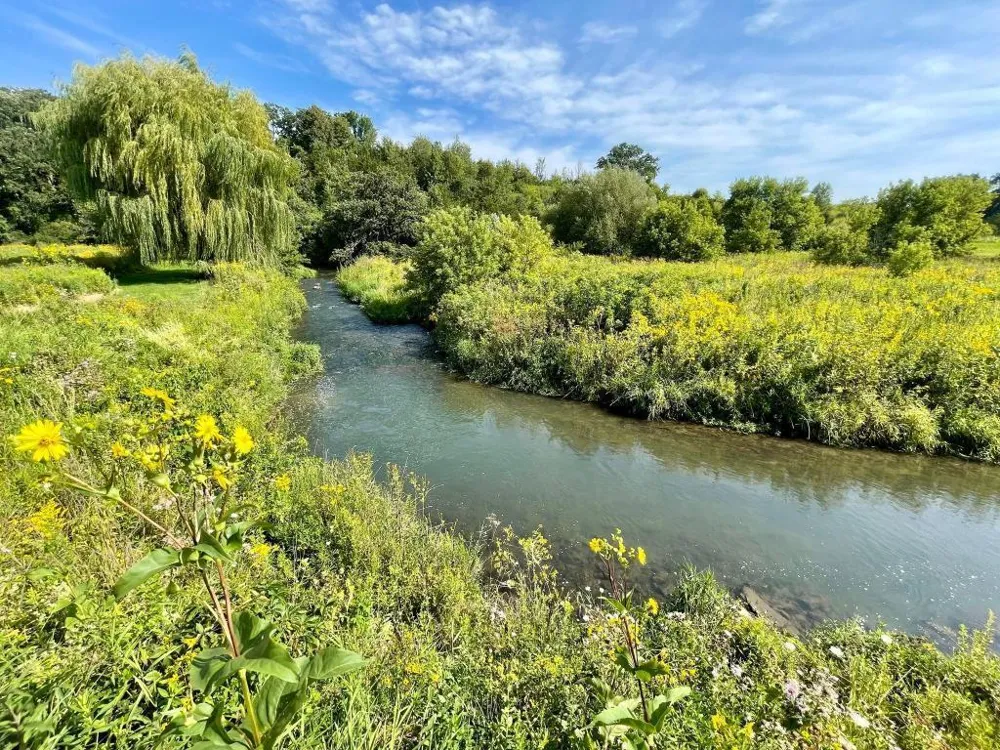 TBD-C County 8 Spring Grove, MN 55954