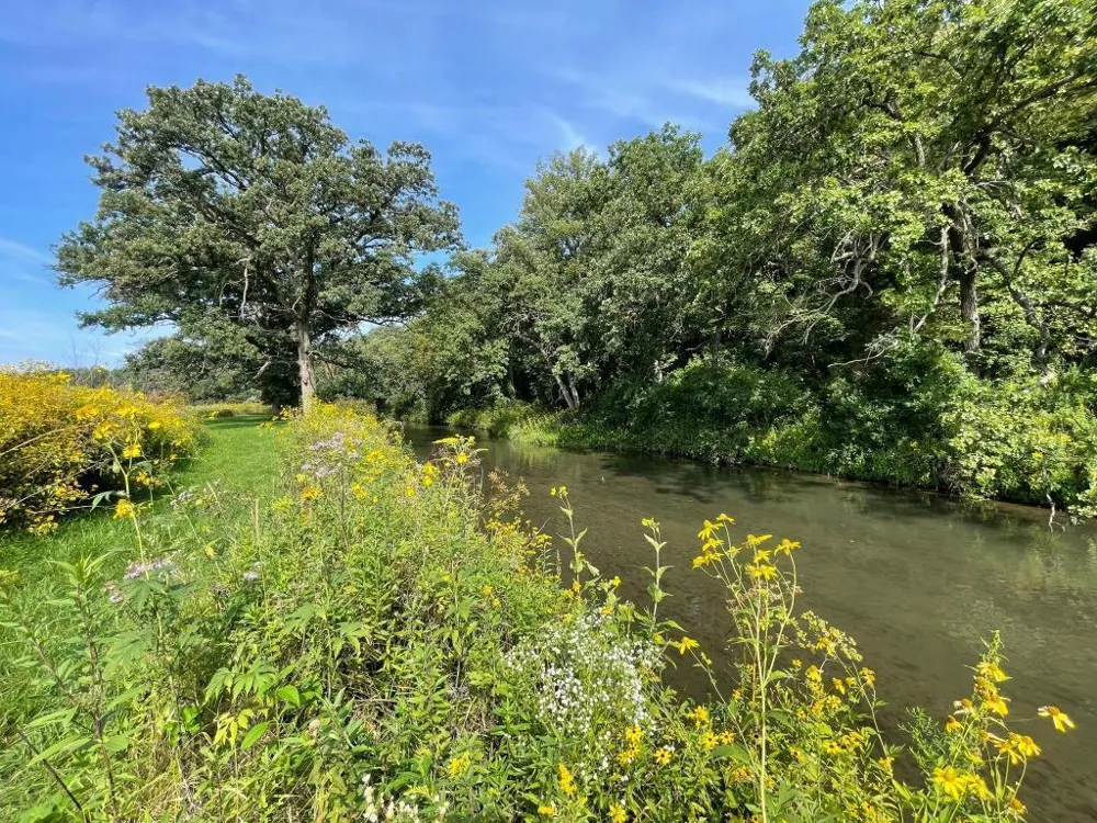 TBD-C County 8 Spring Grove, MN 55954