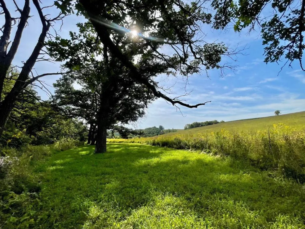 TBD-C County 8 Spring Grove, MN 55954