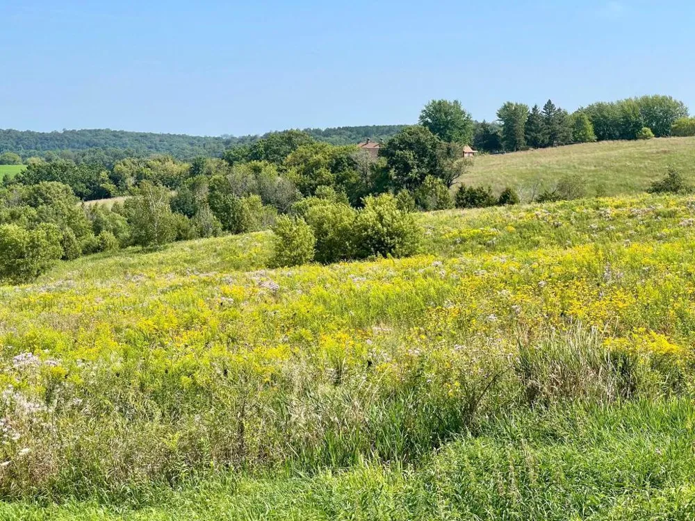 TBD-C County 8 Spring Grove, MN 55954