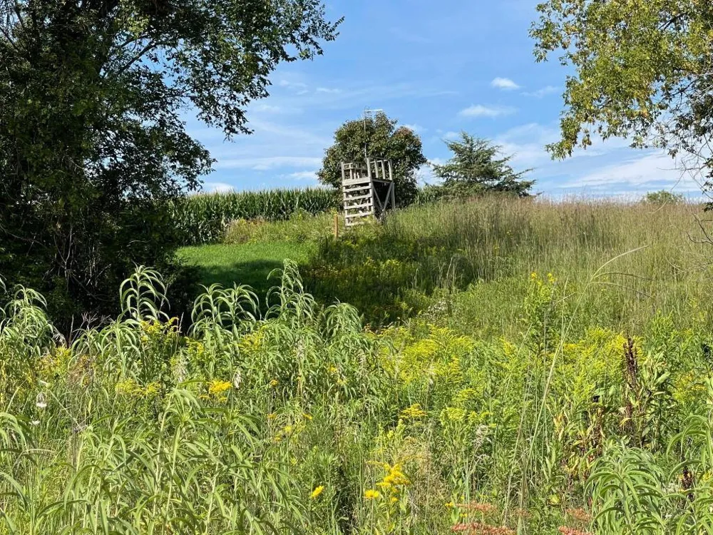 TBD-C County 8 Spring Grove, MN 55954