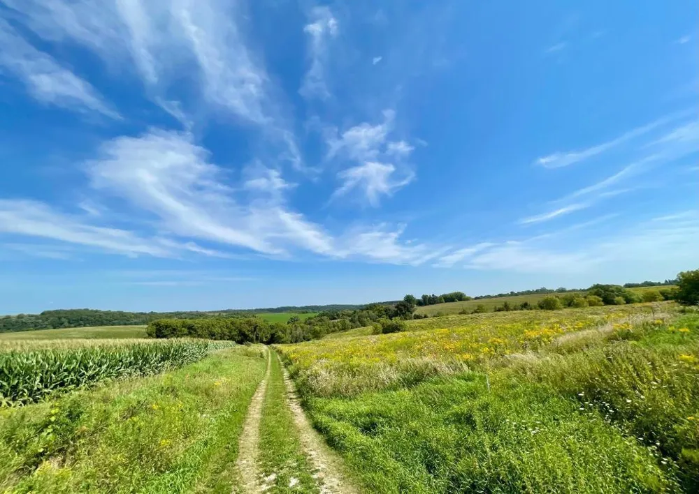 TBD-C County 8 Spring Grove, MN 55954