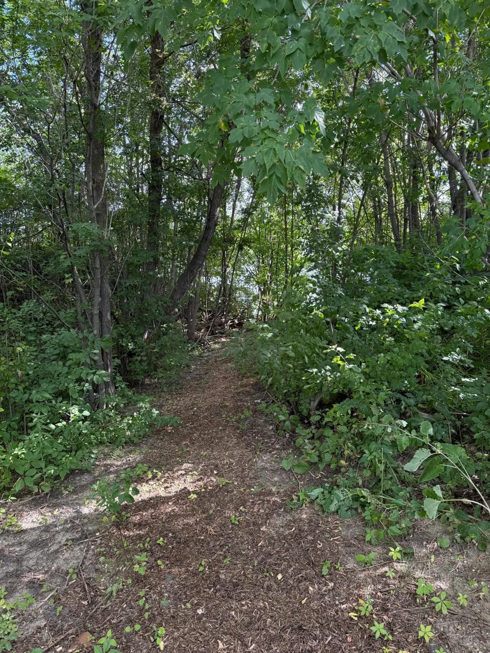 1682 State Highway 11 SE Baudette, MN 56623