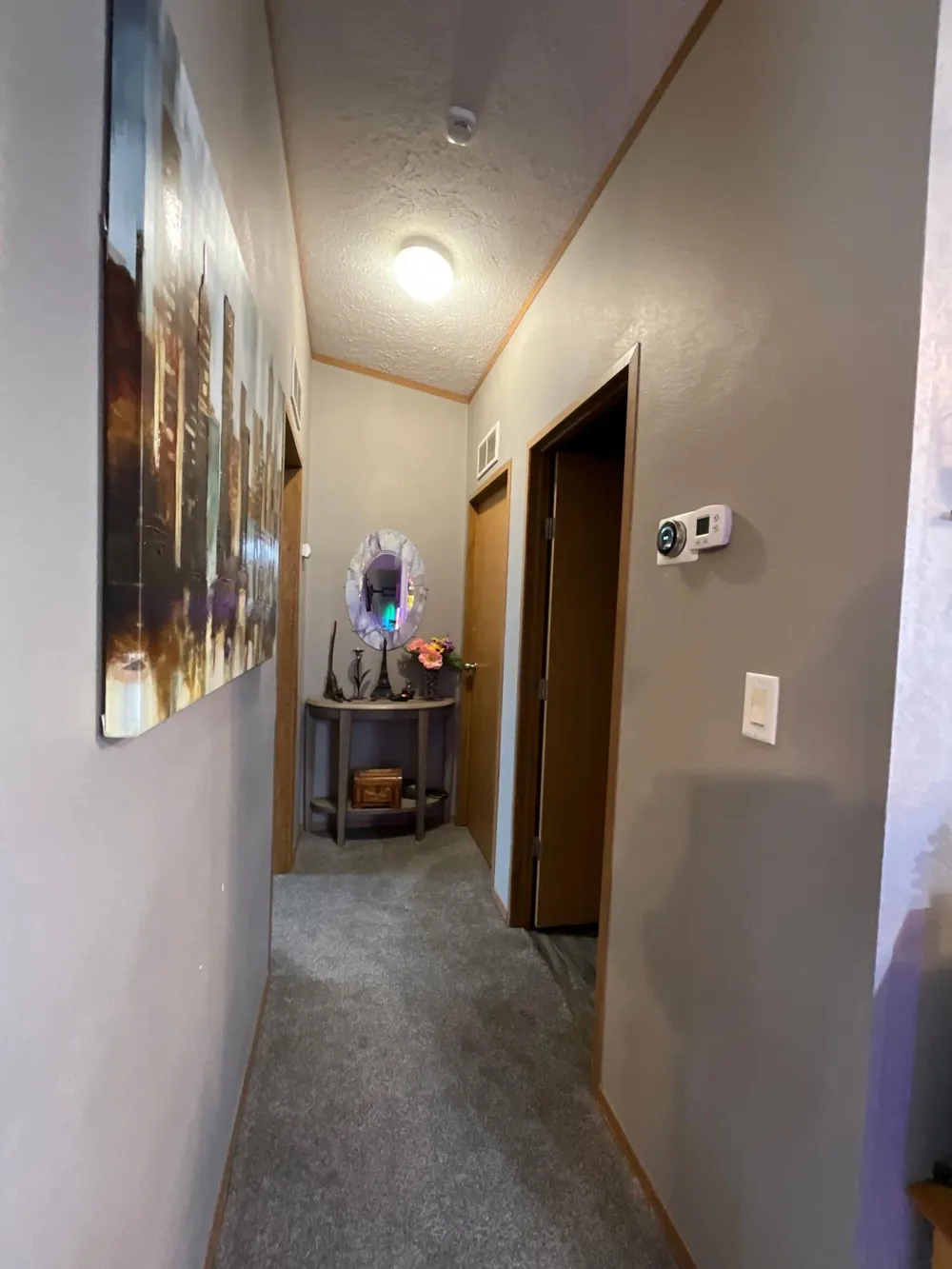 516 S Miller Avenue Litchfield, MN 55355