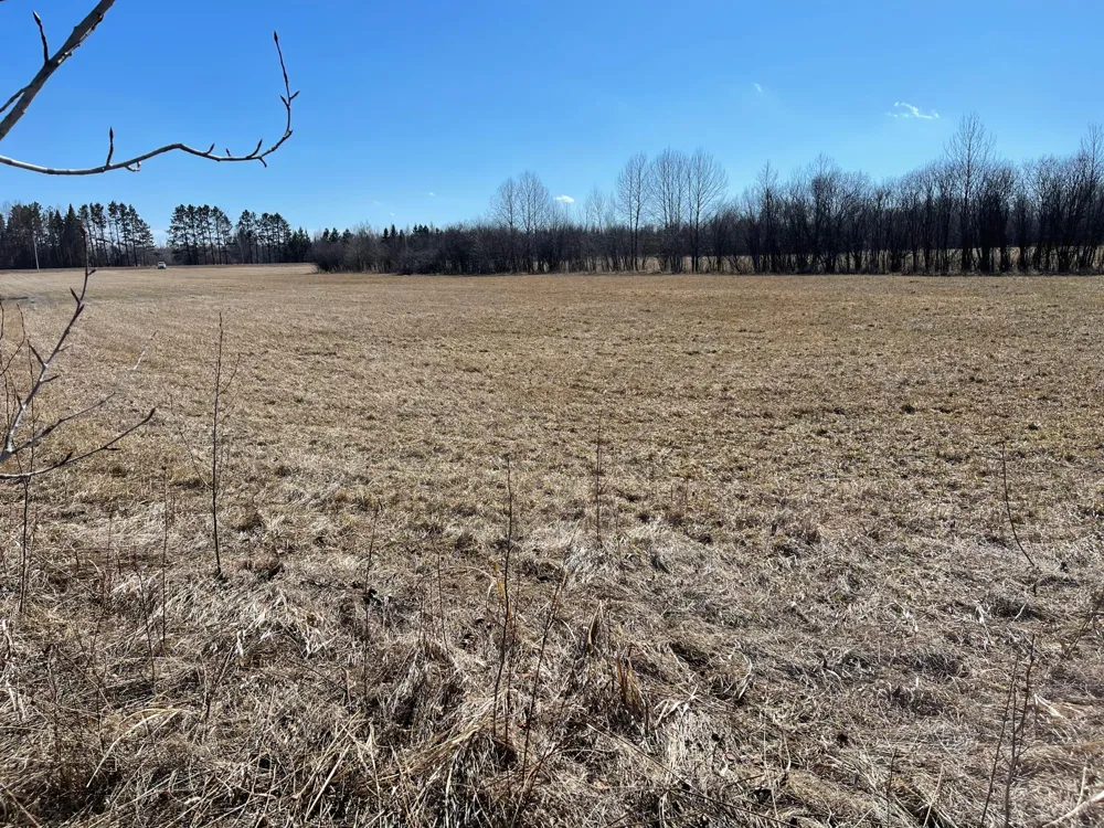 Hwy 133 Hwy # 133 Meadowlands, MN 55765