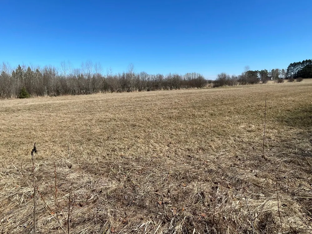 Hwy 133 Hwy # 133 Meadowlands, MN 55765