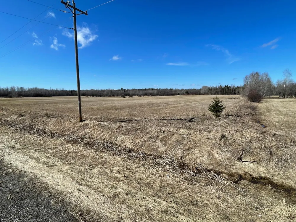 Hwy 133 Hwy # 133 Meadowlands, MN 55765