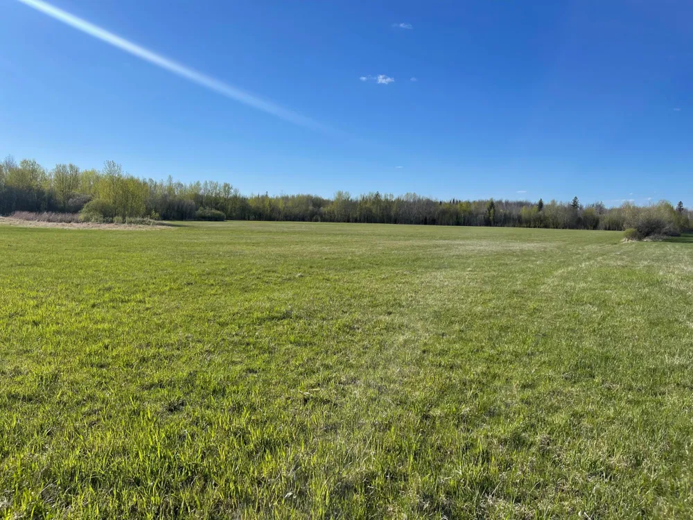Hwy 133 Hwy # 133 Meadowlands, MN 55765