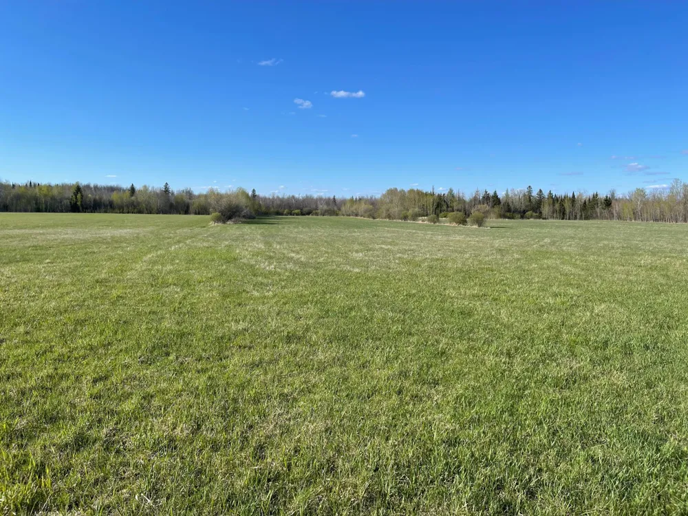 Hwy 133 Hwy # 133 Meadowlands, MN 55765