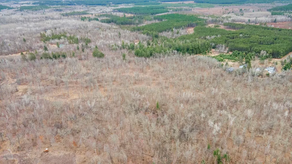 4996 Springbrook Trail Danbury, WI 54830