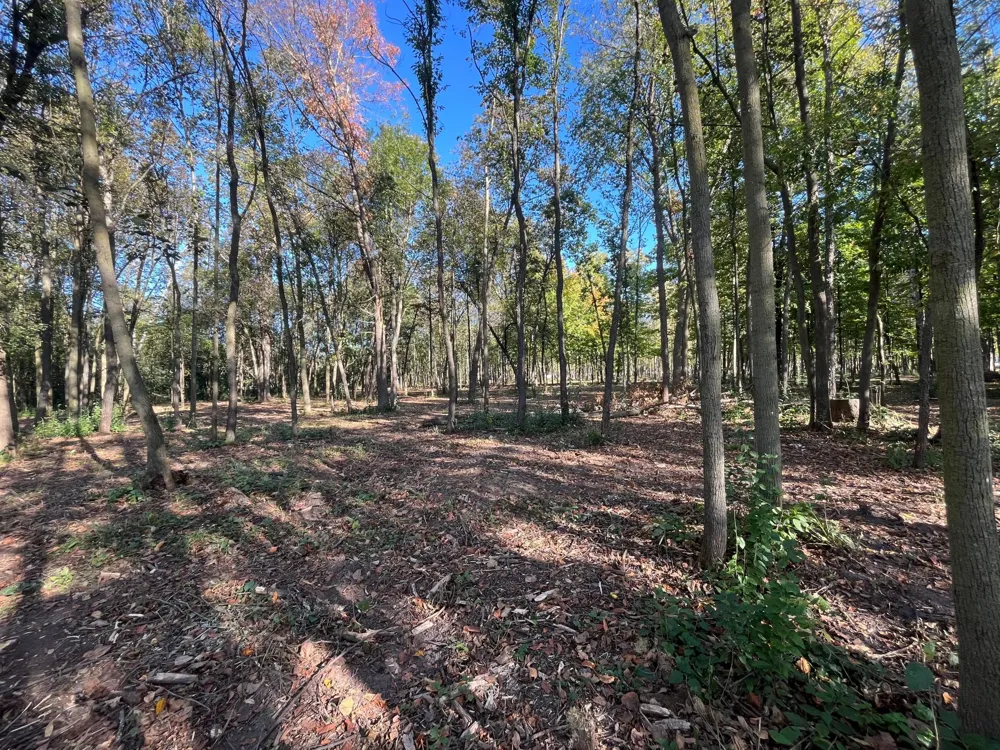 917 Scharbillig Court Rice Lake, WI 54868