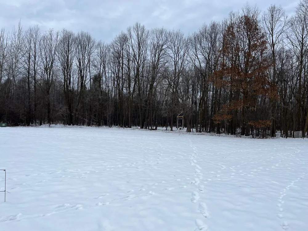 917 Scharbillig Court Rice Lake, WI 54868