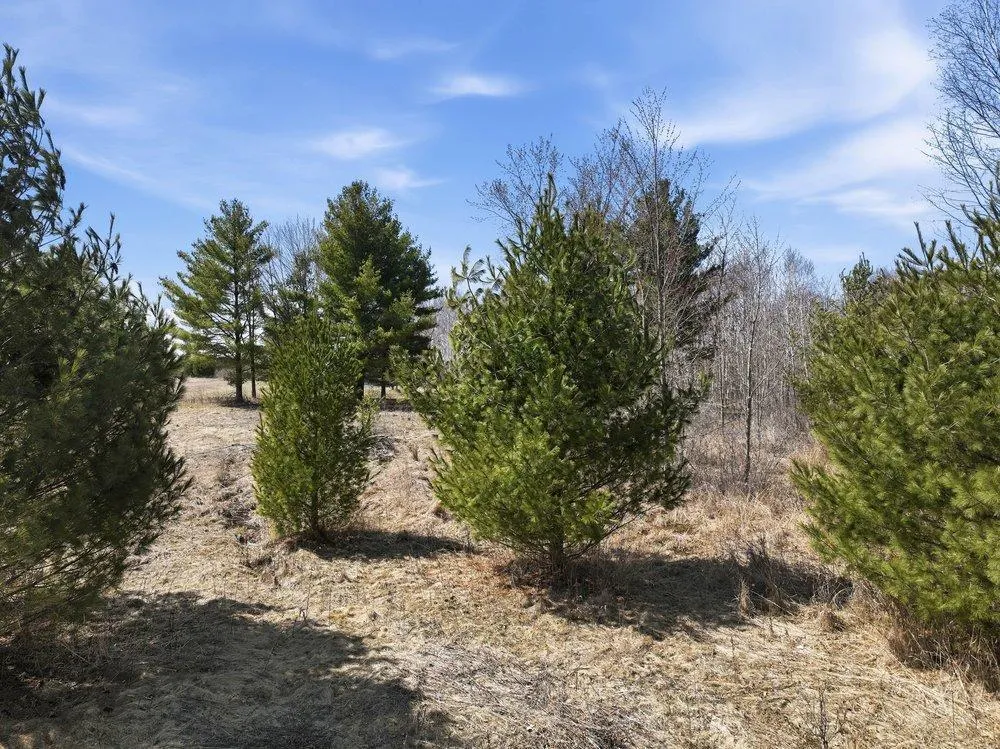 Lot 13 10 1/4 Avenue Chetek, WI 54728