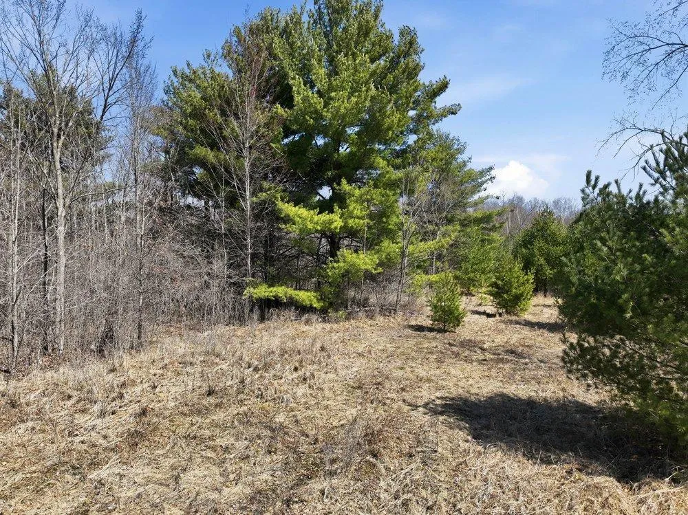 Lot 13 10 1/4 Avenue Chetek, WI 54728