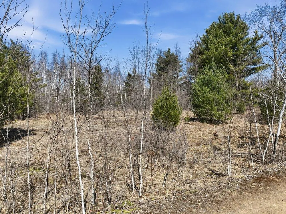 Lot 13 10 1/4 Avenue Chetek, WI 54728