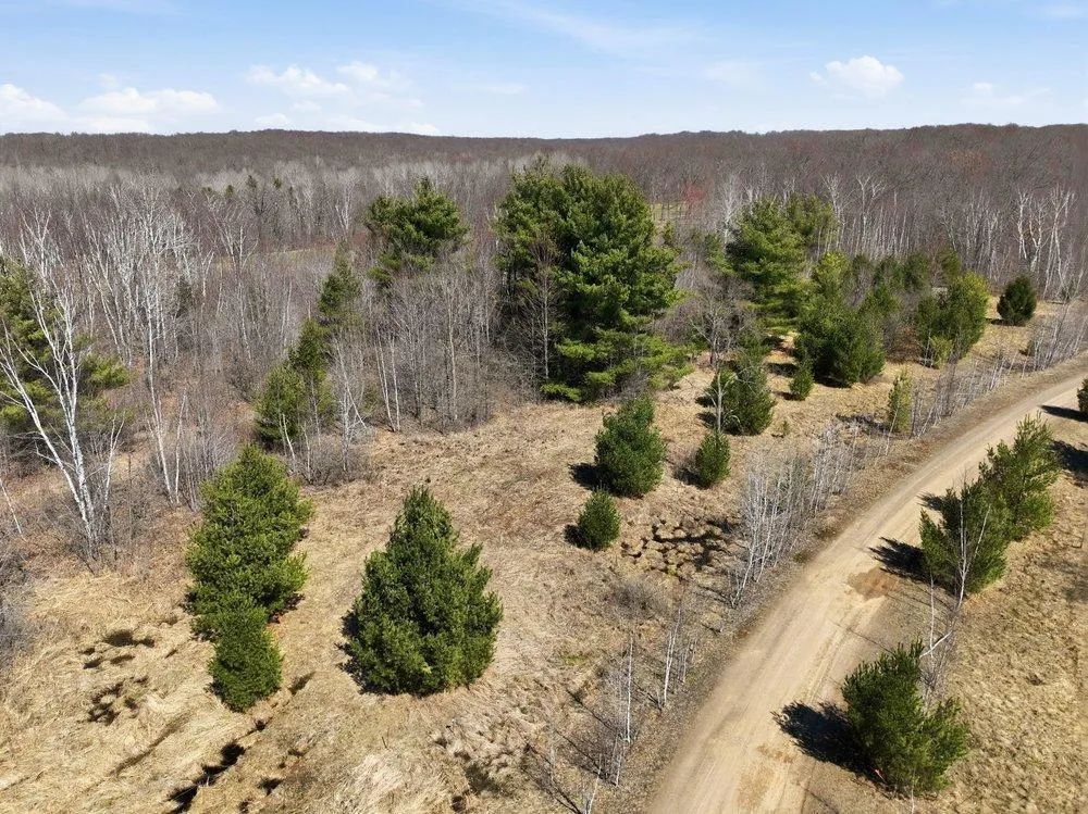 Lot 13 10 1/4 Avenue Chetek, WI 54728