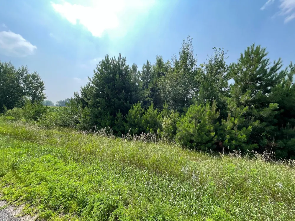 XXX 17th Street Princeton, MN 55371