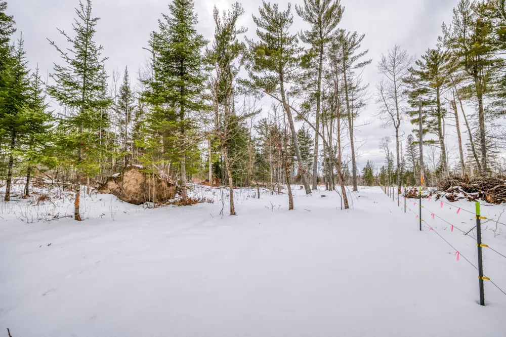 25524 Smokey Hollow Drive Laporte, MN 56461