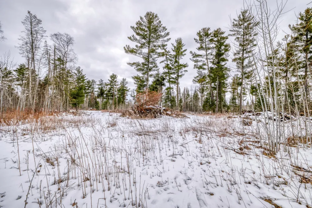 25524 Smokey Hollow Drive Laporte, MN 56461