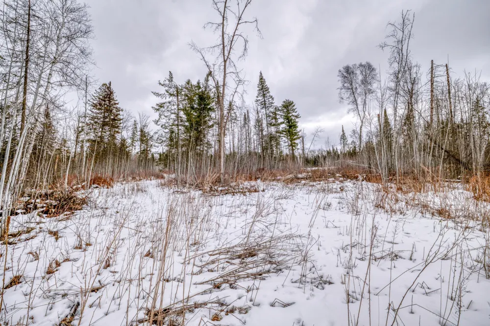 25524 Smokey Hollow Drive Laporte, MN 56461